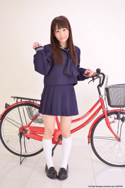 骈四俪六