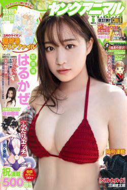 贤妻良母免费观看完整版韩剧